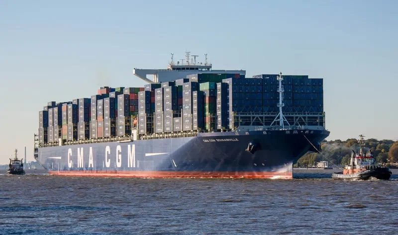 CMA CGM BOUGAINVILLE Container Ship IMO 9702156 photo 3