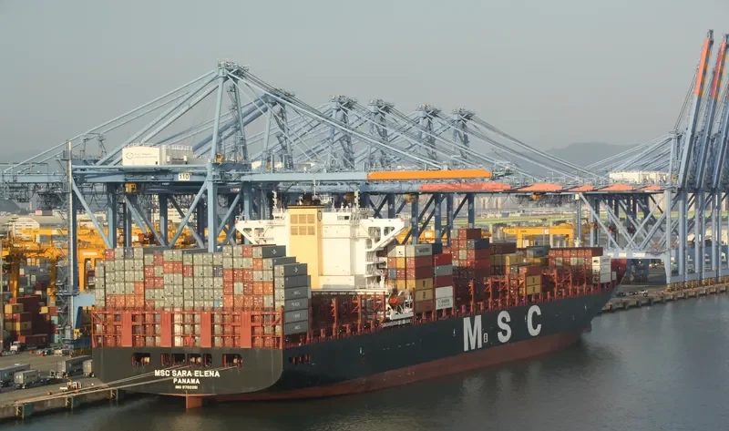 MSC SARA ELENA Container Ship IMO 9702261