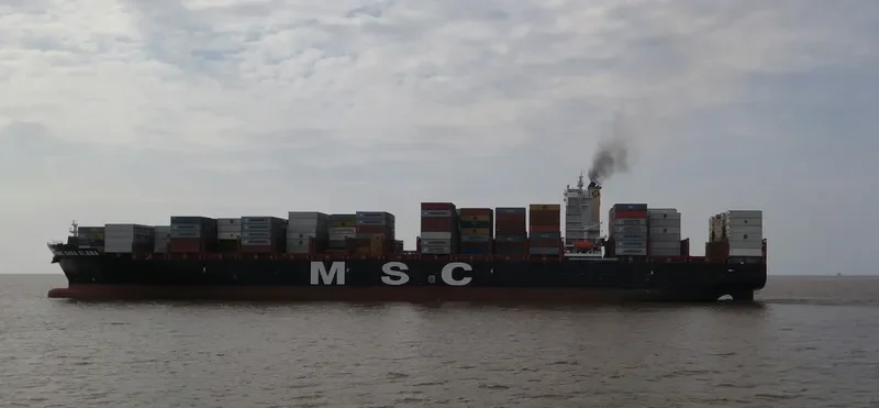 MSC SARA ELENA Container Ship IMO 9702261 photo 2