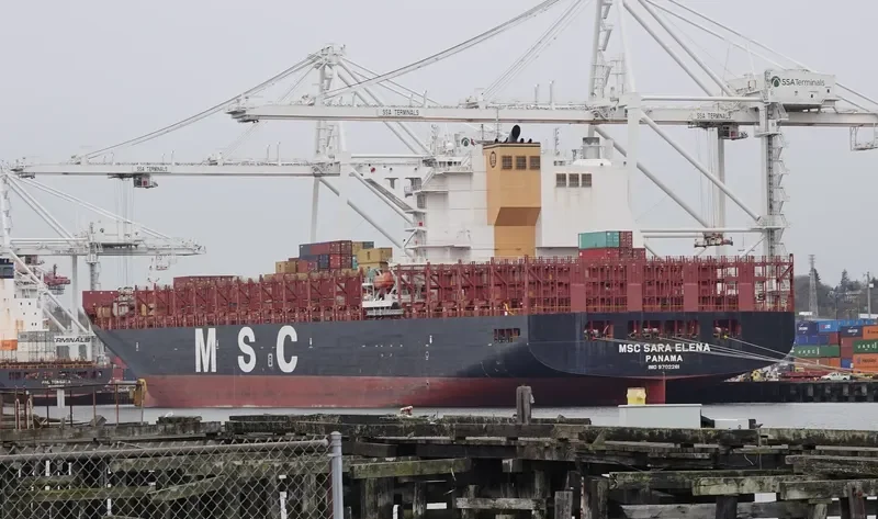 MSC SARA ELENA Container Ship IMO 9702261 photo 7