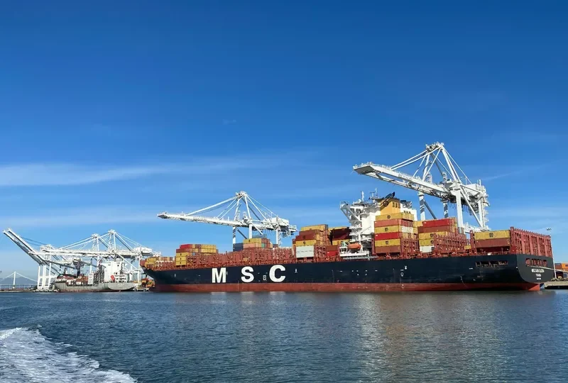 MSC SARA ELENA Container Ship IMO 9702261 photo 10