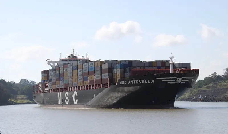 MSC ANTONELLA Container Ship IMO 9702273 photo 2