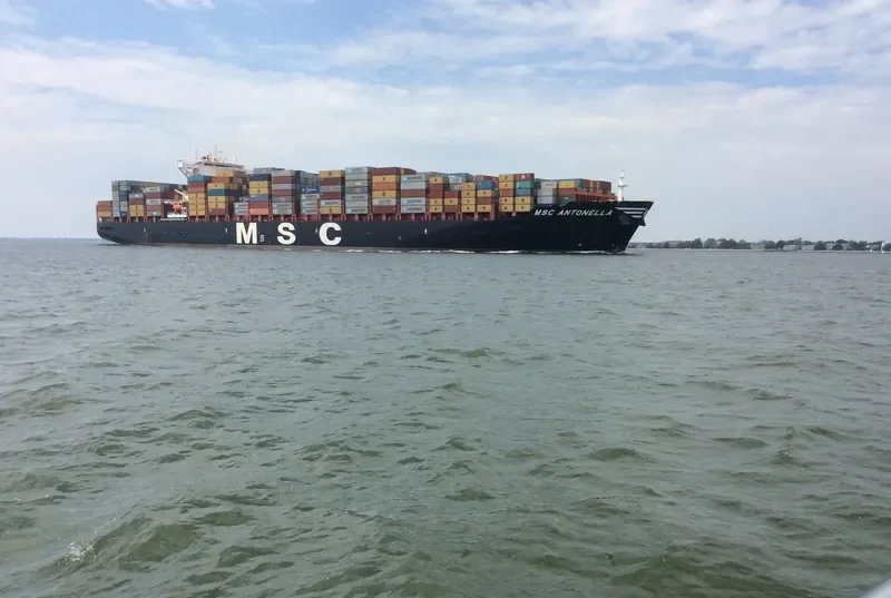 MSC ANTONELLA Container Ship IMO 9702273 photo 6