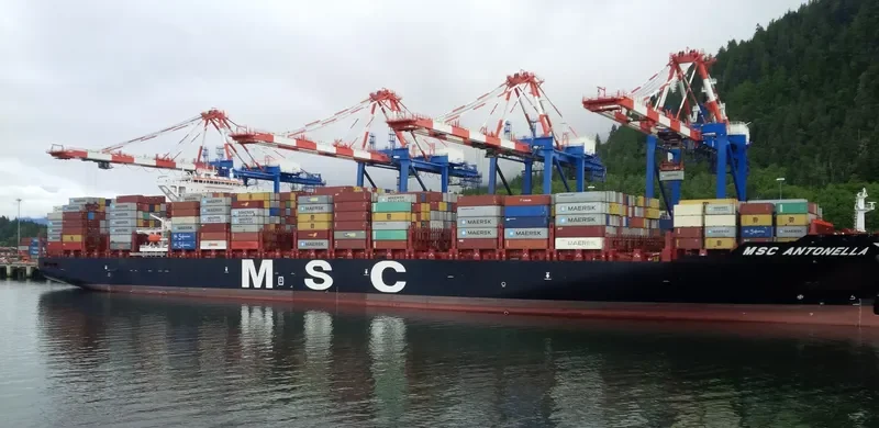 MSC ANTONELLA Container Ship IMO 9702273 photo 7
