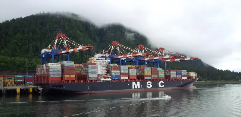 MSC ANTONELLA Container Ship IMO 9702273 photo 8