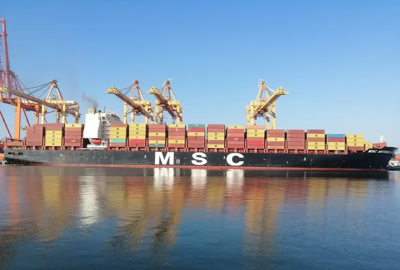 MSC ANTONELLA Container Ship IMO 9702273 photo 9