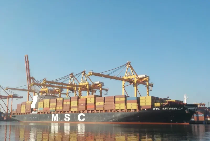 MSC ANTONELLA Container Ship IMO 9702273 photo 10