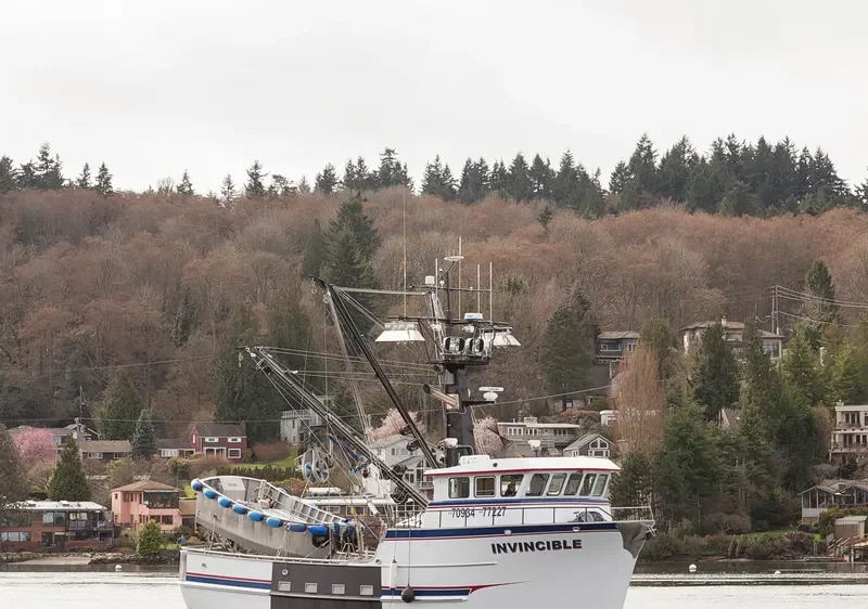 INVINCIBLE General Cargo IMO 9702352 photo 4