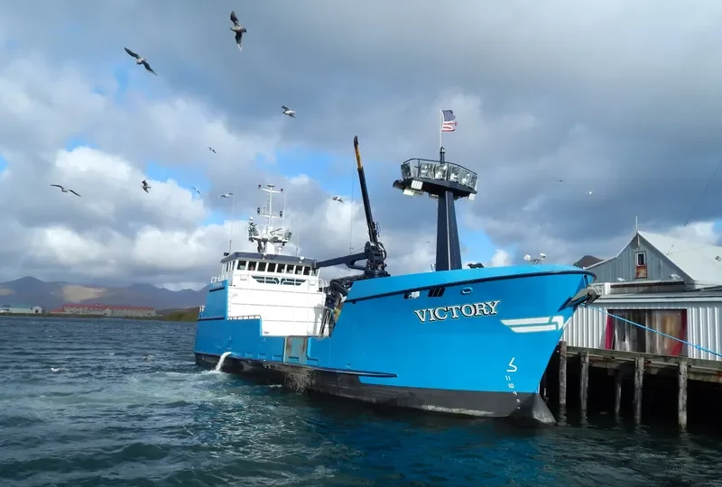 VICTORY General Cargo IMO 9702376 photo 3