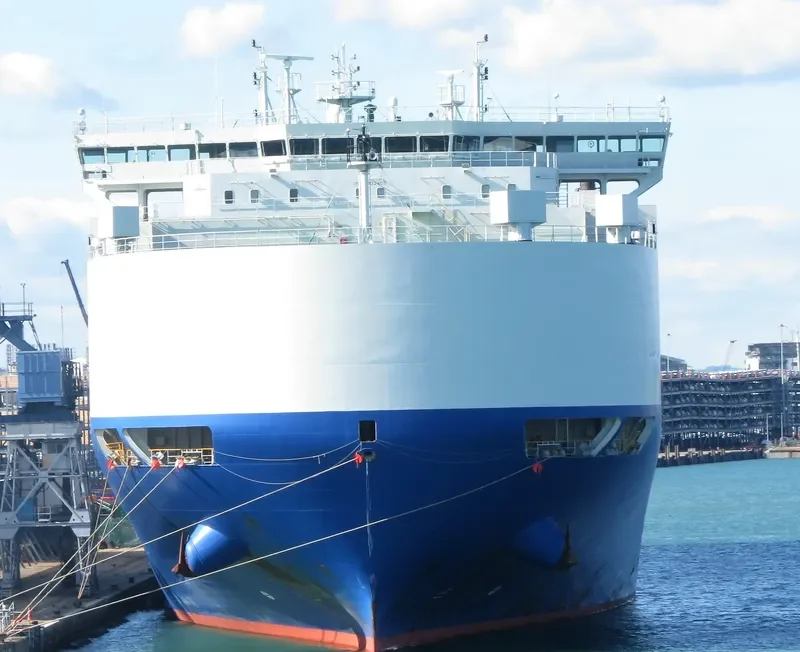 GLOVIS SUNRISE General Cargo IMO 9702405 photo 2