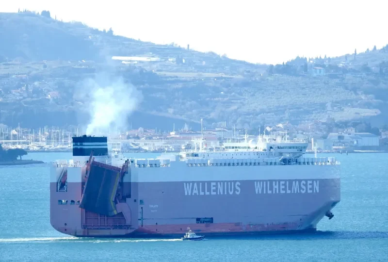 THALATTA General Cargo IMO 9702455 photo 3