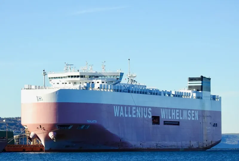 THALATTA General Cargo IMO 9702455 photo 4