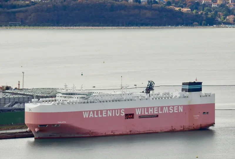 THALATTA General Cargo IMO 9702455 photo 6