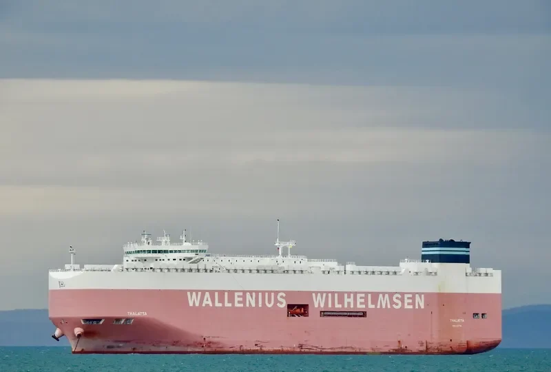 THALATTA General Cargo IMO 9702455 photo 7