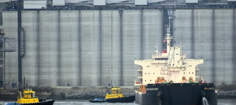 MERCHIA Bulk Carrier IMO 9702493 photo 2