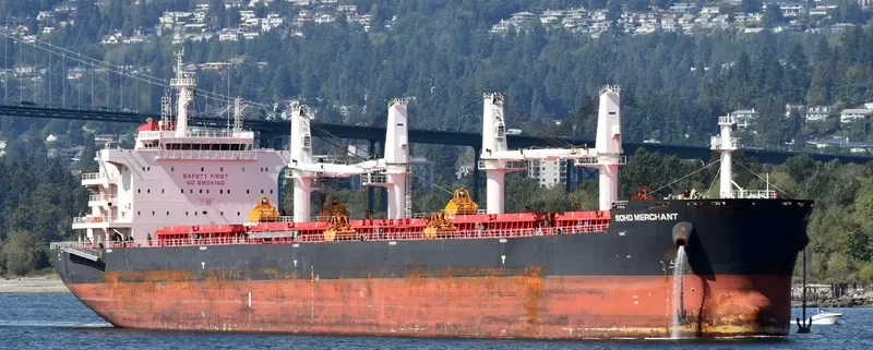 MERCHIA Bulk Carrier IMO 9702493 photo 4