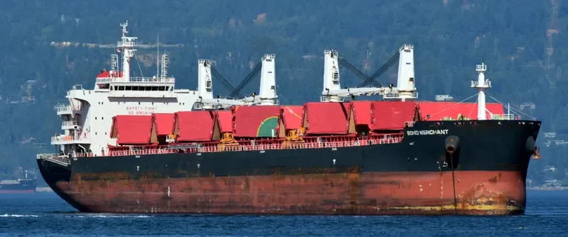 MERCHIA Bulk Carrier IMO 9702493 photo 6