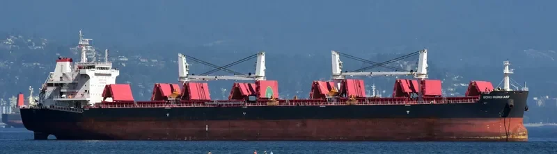 MERCHIA Bulk Carrier IMO 9702493 photo 7
