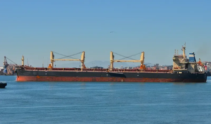 STONY STREAM Bulk Carrier IMO 9702508