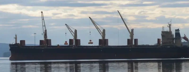 STONY STREAM Bulk Carrier IMO 9702508 photo 2