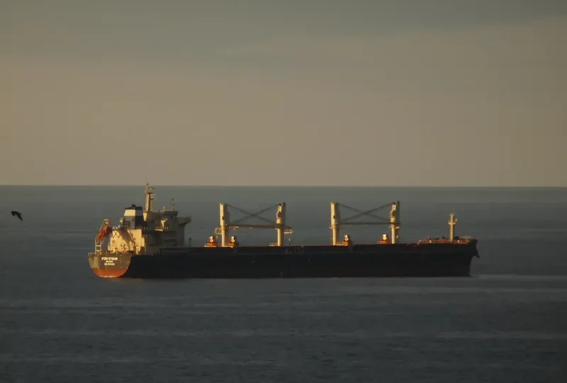 STONY STREAM Bulk Carrier IMO 9702508 photo 6