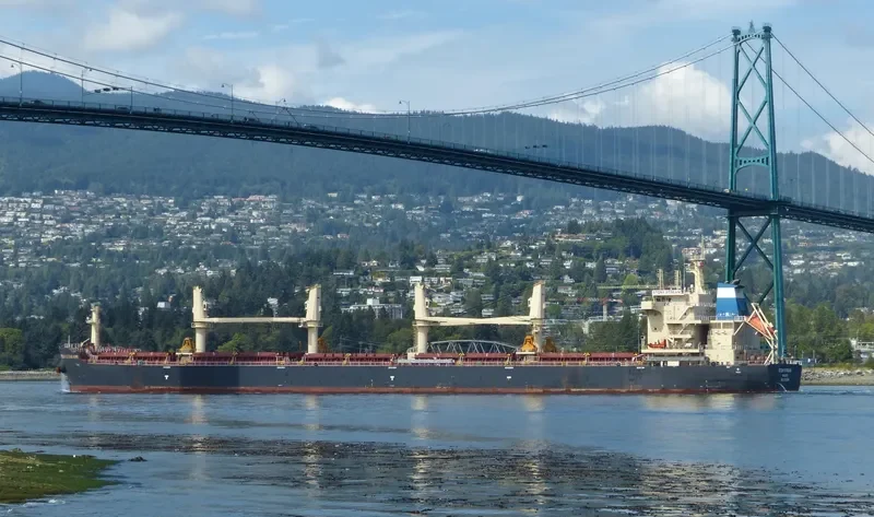 STONY STREAM Bulk Carrier IMO 9702508 photo 7