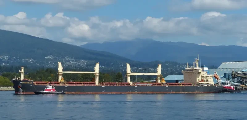 STONY STREAM Bulk Carrier IMO 9702508 photo 8