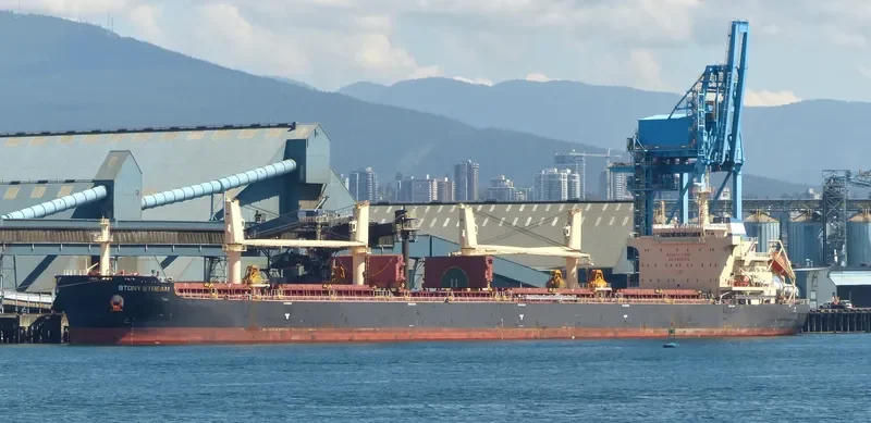 STONY STREAM Bulk Carrier IMO 9702508 photo 9