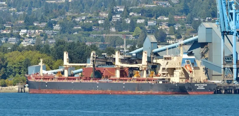 STONY STREAM Bulk Carrier IMO 9702508 photo 10