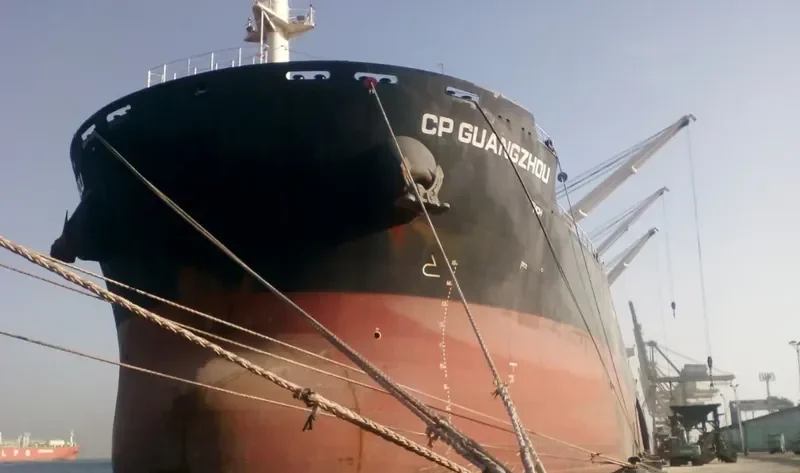 CP GUANGZHOU Bulk Carrier IMO 9702522 photo 5