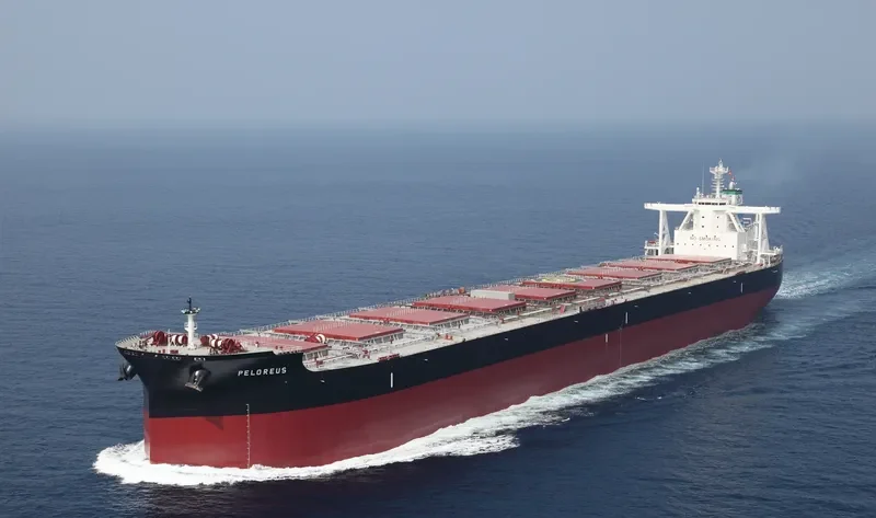 PELOREUS Bulk Carrier IMO 9702534