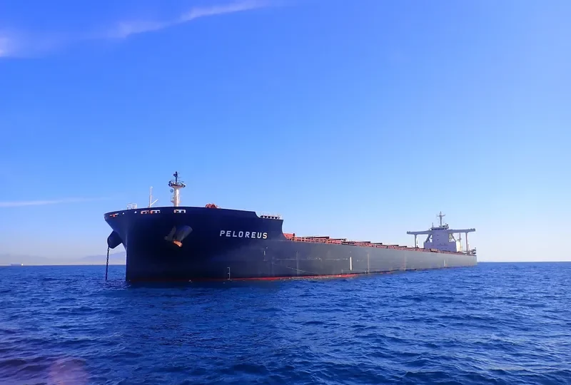 PELOREUS Bulk Carrier IMO 9702534 photo 3