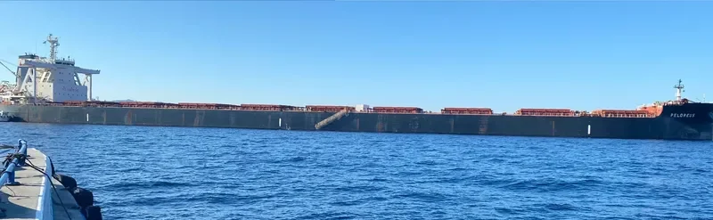 PELOREUS Bulk Carrier IMO 9702534 photo 4
