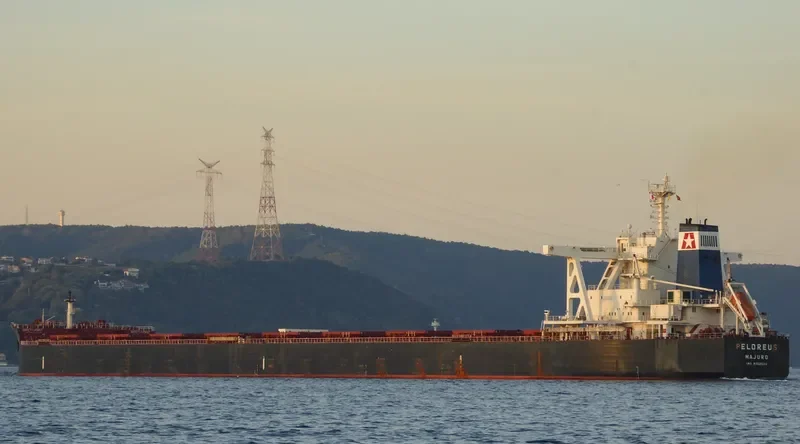PELOREUS Bulk Carrier IMO 9702534 photo 5
