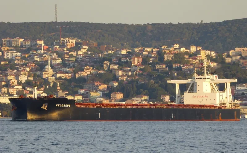 PELOREUS Bulk Carrier IMO 9702534 photo 6