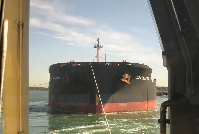 LEVIATHAN Bulk Carrier IMO 9702546