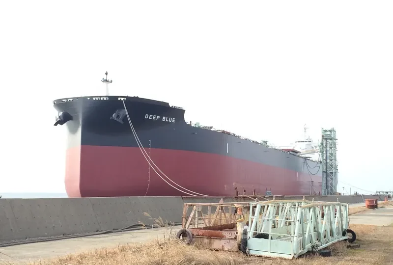 GORTYNIA Bulk Carrier IMO 9702584