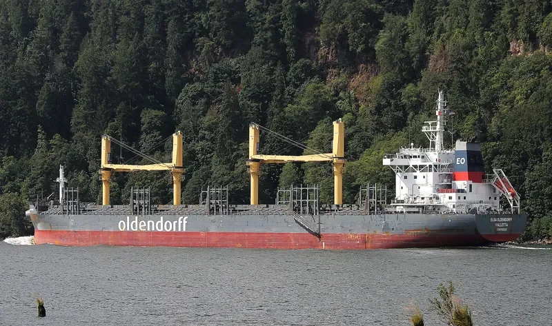 ELSA OLDENDORFF General Cargo IMO 9702625 photo 8