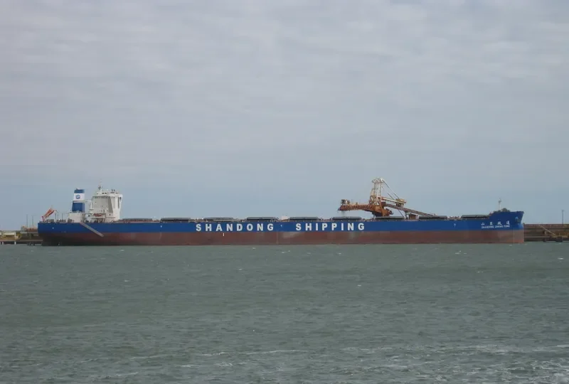 SHANDONG ZHENG TONG Bulk Carrier IMO 9702649