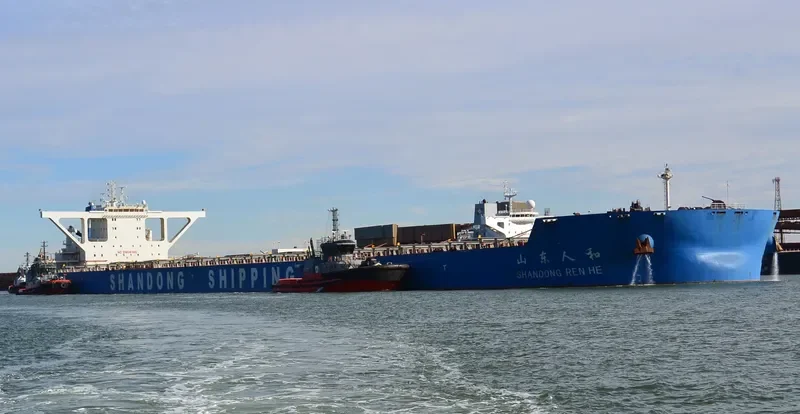 SHANDONG REN HE Bulk Carrier IMO 9702651