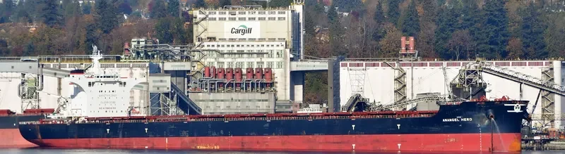 MARAN HERO Bulk Carrier IMO 9702687 photo 3