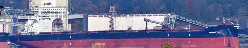 MARAN HERO Bulk Carrier IMO 9702687 photo 5