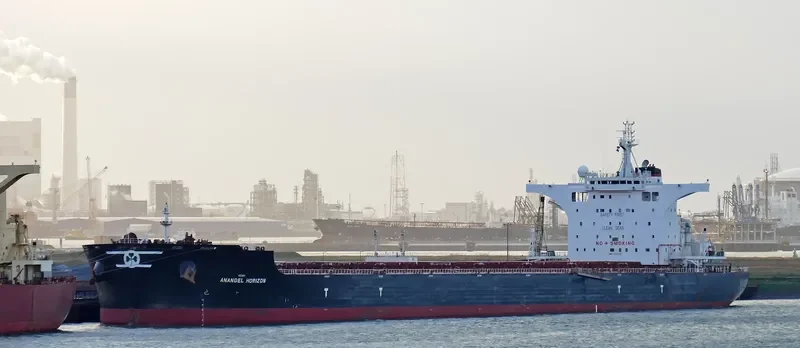 ANANGEL HORIZON Bulk Carrier IMO 9702699