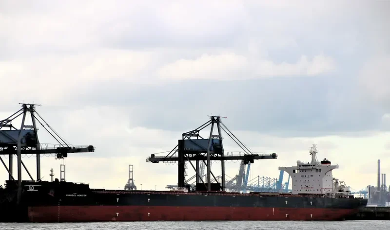 ANANGEL HORIZON Bulk Carrier IMO 9702699 photo 2