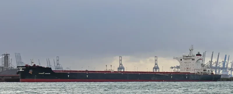 ANANGEL HORIZON Bulk Carrier IMO 9702699 photo 3