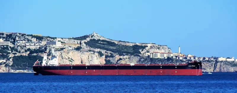 ANANGEL HORIZON Bulk Carrier IMO 9702699 photo 4