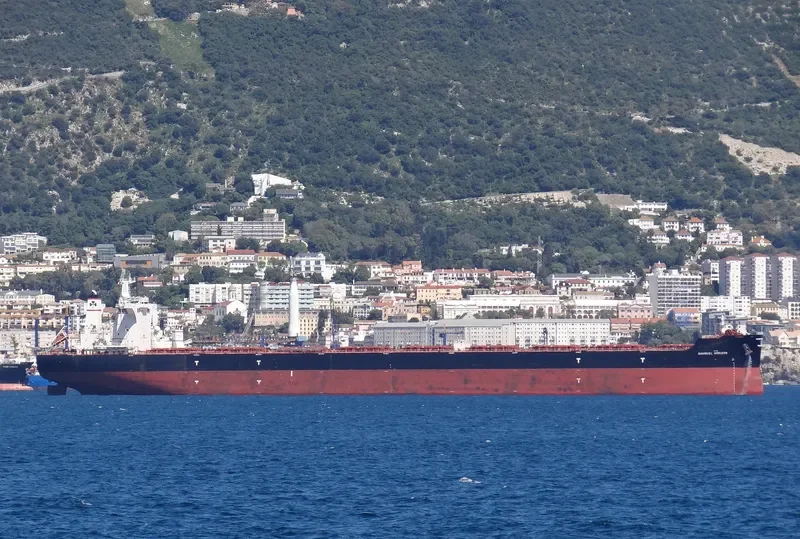 ANANGEL HORIZON Bulk Carrier IMO 9702699 photo 5