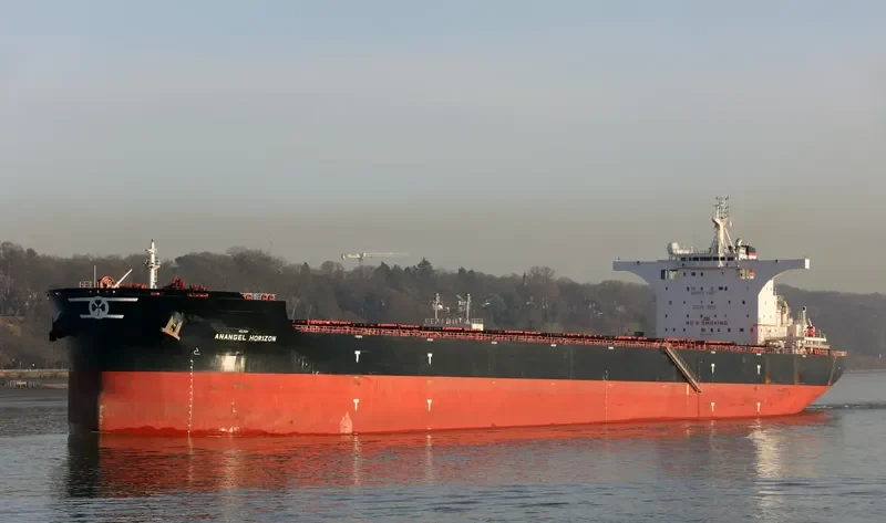 ANANGEL HORIZON Bulk Carrier IMO 9702699 photo 6