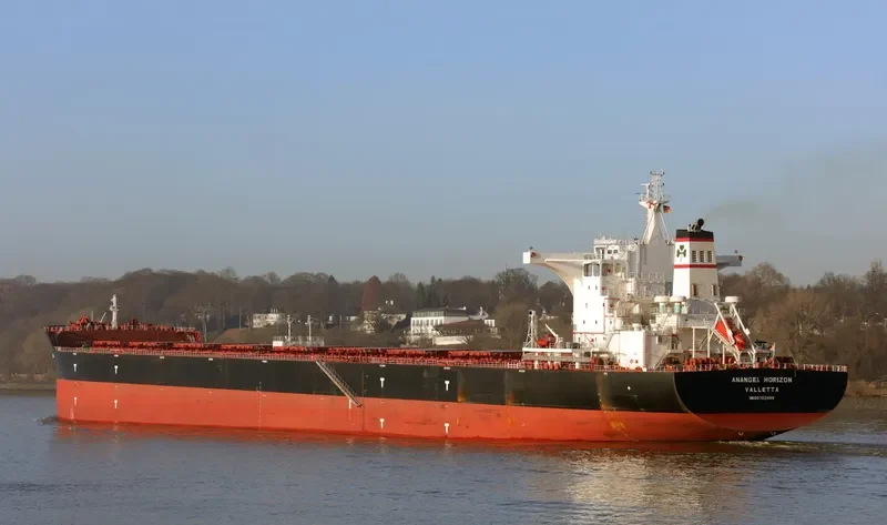ANANGEL HORIZON Bulk Carrier IMO 9702699 photo 7