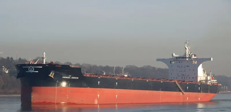 ANANGEL HORIZON Bulk Carrier IMO 9702699 photo 8